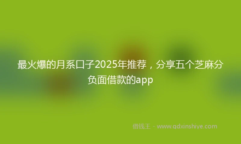 最火爆的月系口子2025年推荐，分享五个芝麻分负面借款的app