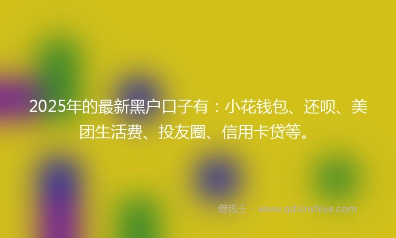 2025年的最新黑户口子有：小花钱包、还呗、美团生活费、投友圈、信用卡贷等。