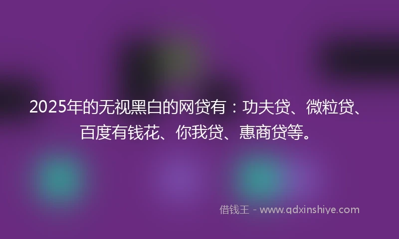 2025年的无视黑白的网贷有：功夫贷、微粒贷、百度有钱花、你我贷、惠商贷等。