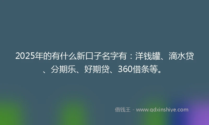 2025年的有什么新口子名字有：洋钱罐、滴水贷、分期乐、好期贷、360借条等。