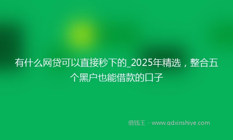 有什么网贷可以直接秒下的_2025年精选，整合五个黑户也能借款的口子