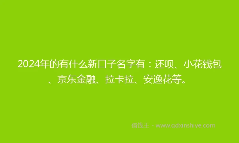 2024年的有什么新口子名字有：还呗、小花钱包、京东金融、拉卡拉、安逸花等。