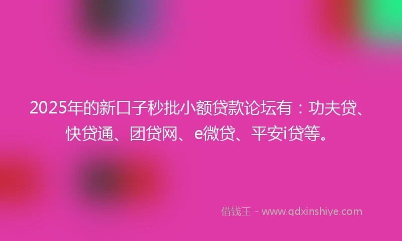 2025年的新口子秒批小额贷款论坛有：功夫贷、快贷通、团贷网、e微贷、平安i贷等。