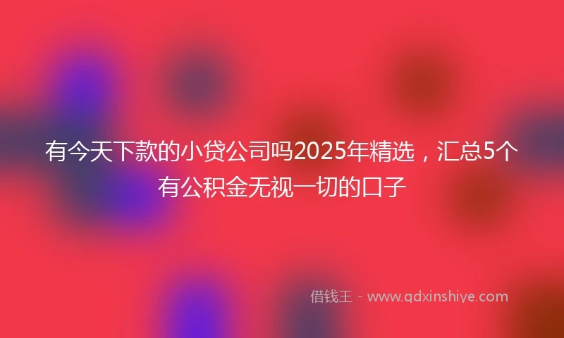 有今天下款的小贷公司吗2025年精选，汇总5个有公积金无视一切的口子