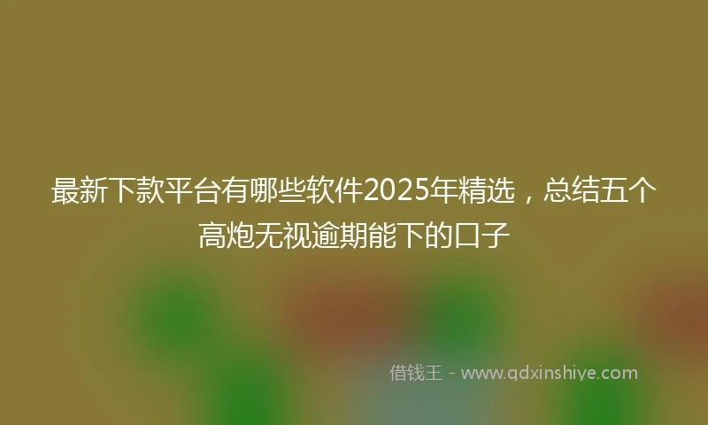 最新下款平台有哪些软件2025年精选，总结五个高炮无视逾期能下的口子