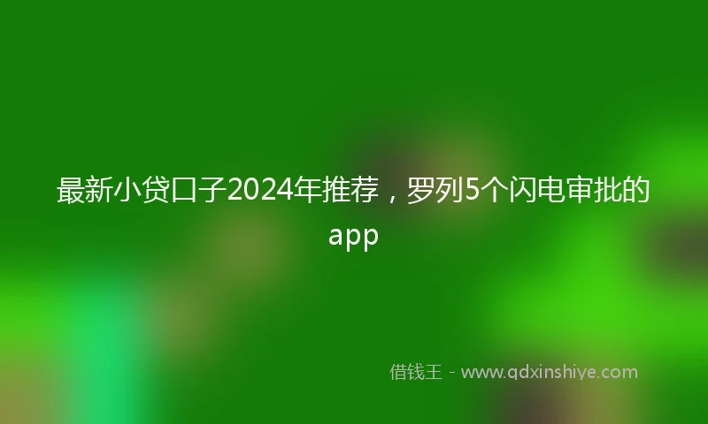 最新小贷口子2024年推荐，罗列5个闪电审批的app