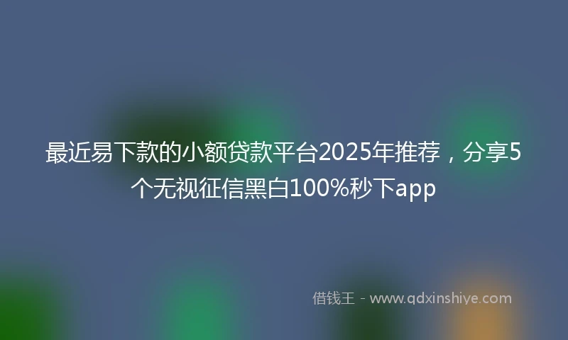 最近易下款的小额贷款平台2025年推荐，分享5个无视征信黑白100%秒下app