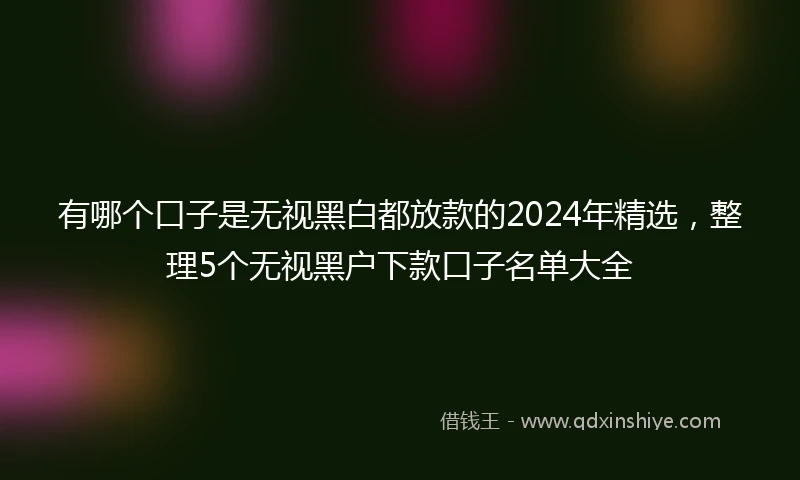 有哪个口子是无视黑白都放款的2024年精选，整理5个无视黑户下款口子名单大全