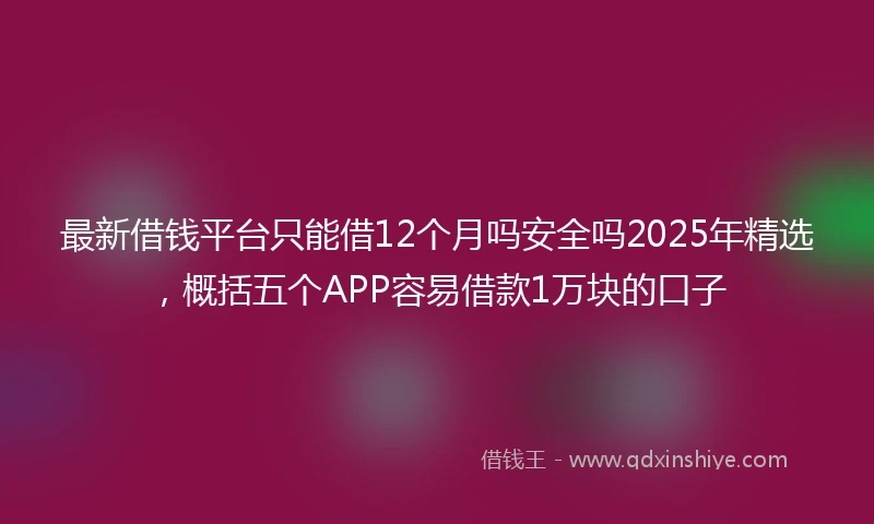 最新借钱平台只能借12个月吗安全吗2025年精选，概括五个APP容易借款1万块的口子