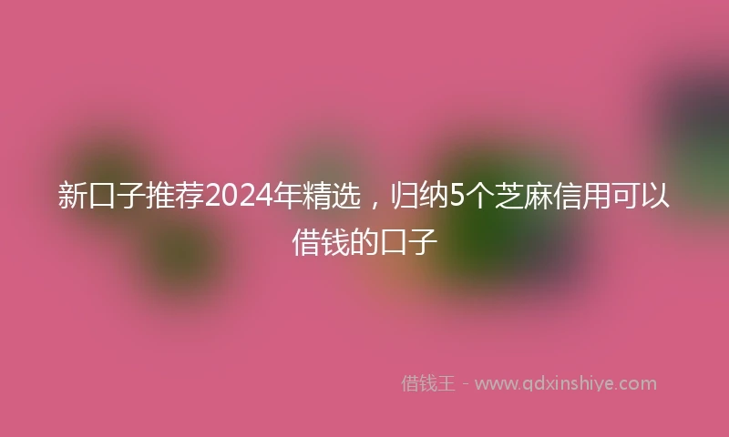 新口子推荐2024年精选，归纳5个芝麻信用可以借钱的口子