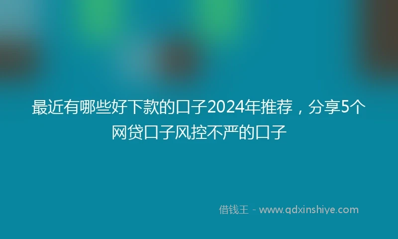 最近有哪些好下款的口子2024年推荐，分享5个网贷口子风控不严的口子
