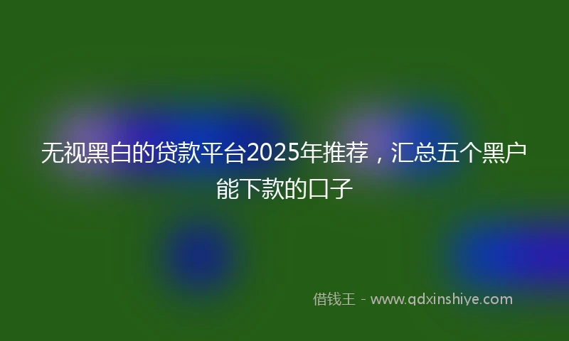 无视黑白的贷款平台2025年推荐，汇总五个黑户能下款的口子