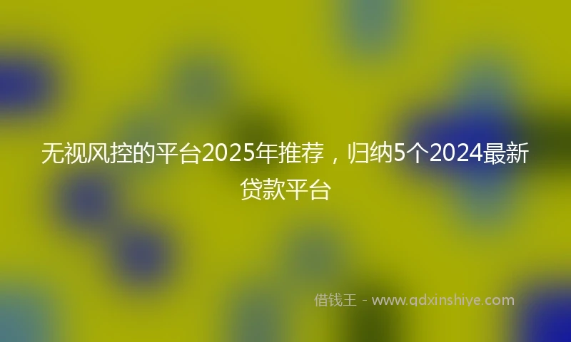 无视风控的平台2025年推荐，归纳5个2024最新贷款平台