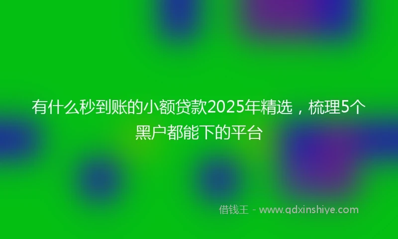 有什么秒到账的小额贷款2025年精选，梳理5个黑户都能下的平台