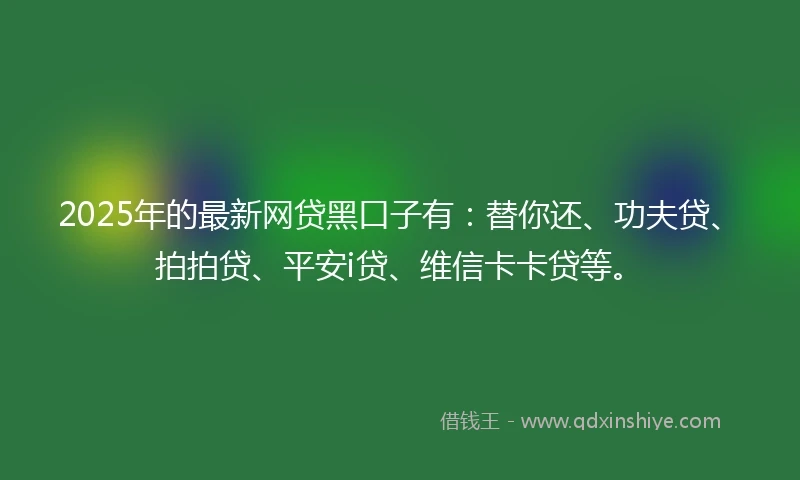 2025年的最新网贷黑口子有：替你还、功夫贷、拍拍贷、平安i贷、维信卡卡贷等。