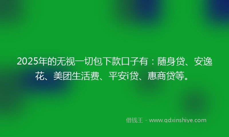 2025年的无视一切包下款口子有：随身贷、安逸花、美团生活费、平安i贷、惠商贷等。