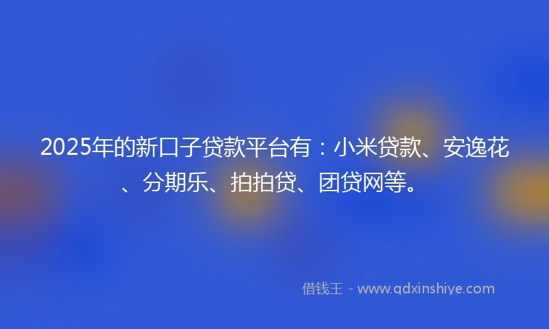 2025年的新口子贷款平台有：小米贷款、安逸花、分期乐、拍拍贷、团贷网等。