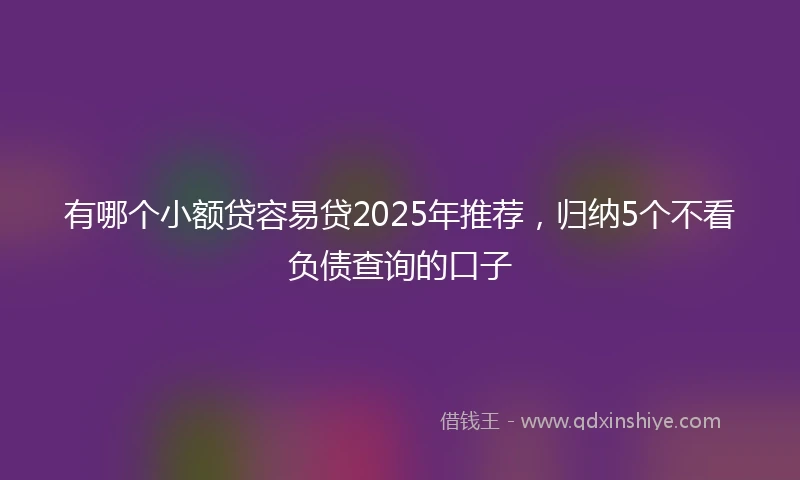 有哪个小额贷容易贷2025年推荐，归纳5个不看负债查询的口子