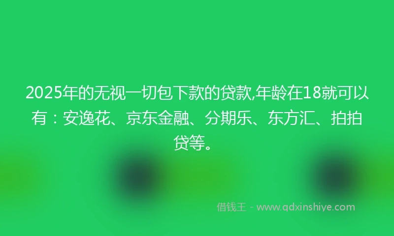 2025年的无视一切包下款的贷款,年龄在18就可以有：安逸花、京东金融、分期乐、东方汇、拍拍贷等。
