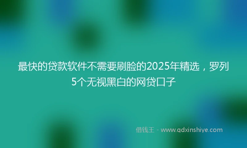 最快的贷款软件不需要刷脸的2025年精选，罗列5个无视黑白的网贷口子