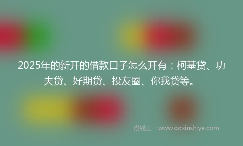 2025年的新开的借款口子怎么开有：柯基贷、功夫贷、好期贷、投友圈、你我贷等。