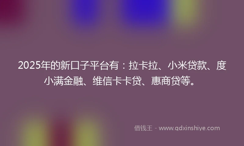 2025年的新口子平台有：拉卡拉、小米贷款、度小满金融、维信卡卡贷、惠商贷等。