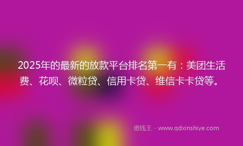 2025年的最新的放款平台排名第一有：美团生活费、花呗、微粒贷、信用卡贷、维信卡卡贷等。