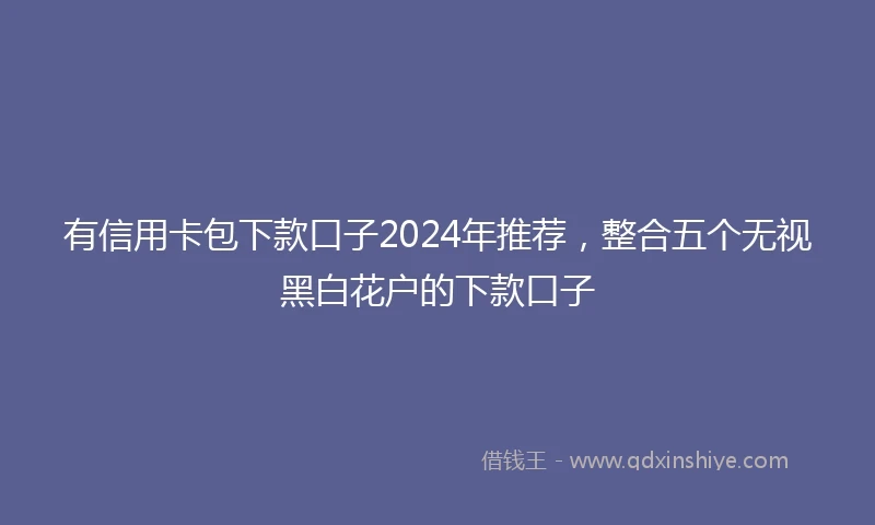 有信用卡包下款口子2024年推荐，整合五个无视黑白花户的下款口子