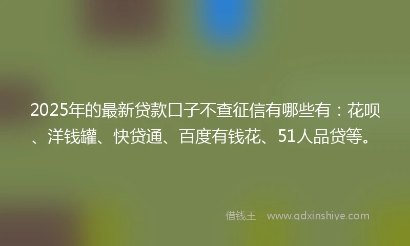 2025年的最新贷款口子不查征信有哪些有：花呗、洋钱罐、快贷通、百度有钱花、51人品贷等。