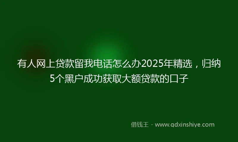 有人网上贷款留我电话怎么办2025年精选，归纳5个黑户成功获取大额贷款的口子
