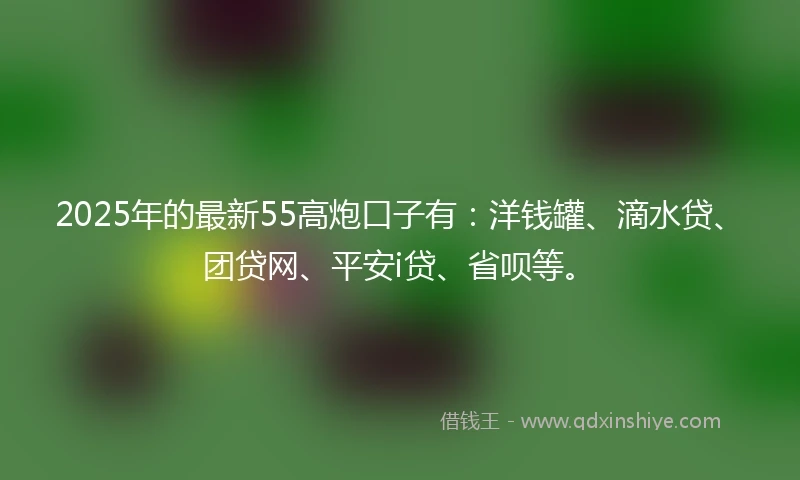 2025年的最新55高炮口子有：洋钱罐、滴水贷、团贷网、平安i贷、省呗等。