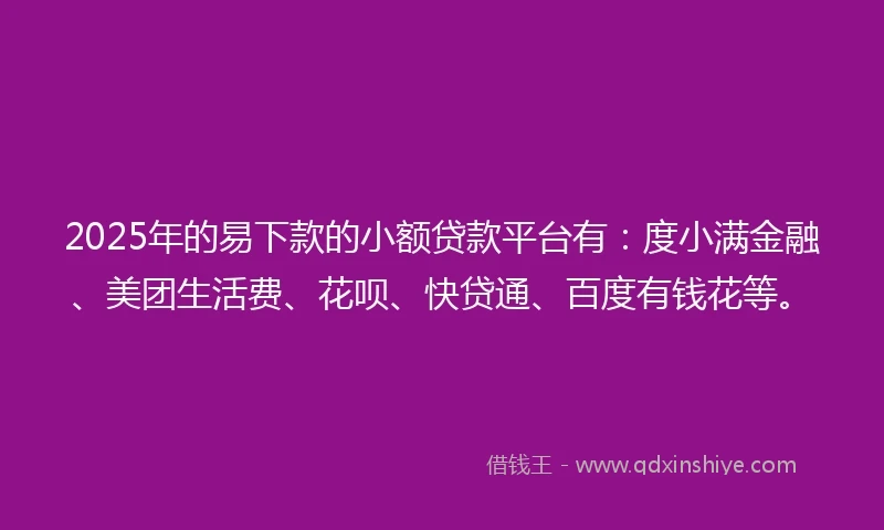 2025年的易下款的小额贷款平台有：度小满金融、美团生活费、花呗、快贷通、百度有钱花等。