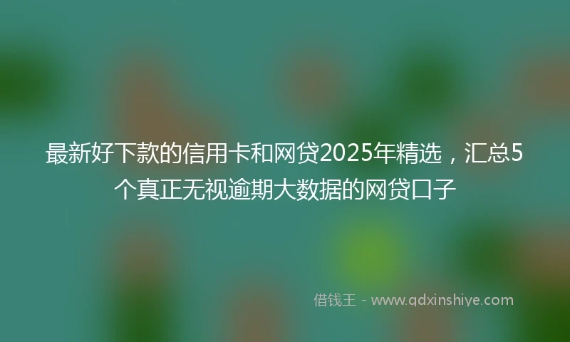 最新好下款的信用卡和网贷2025年精选，汇总5个真正无视逾期大数据的网贷口子