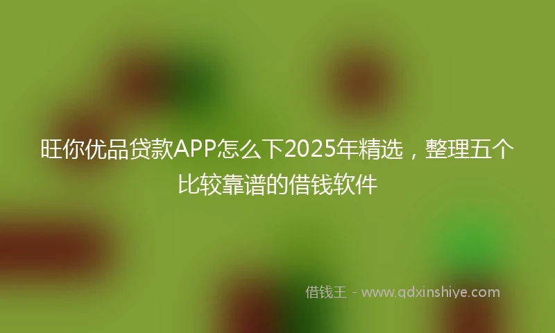 旺你优品贷款APP怎么下2025年精选，整理五个比较靠谱的借钱软件