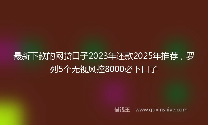 最新下款的网贷口子2023年还款2025年推荐，罗列5个无视风控8000必下口子