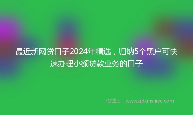 最近新网贷口子2024年精选，归纳5个黑户可快速办理小额贷款业务的口子