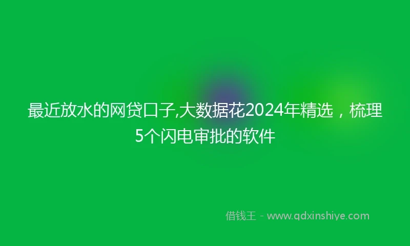 最近放水的网贷口子,大数据花2024年精选，梳理5个闪电审批的软件