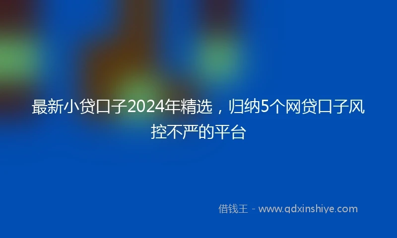 最新小贷口子2024年精选，归纳5个网贷口子风控不严的平台