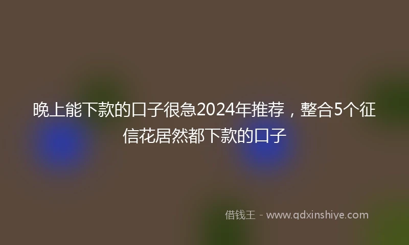 晚上能下款的口子很急2024年推荐，整合5个征信花居然都下款的口子
