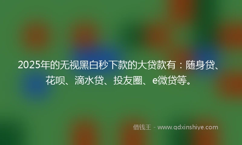 2025年的无视黑白秒下款的大贷款有：随身贷、花呗、滴水贷、投友圈、e微贷等。