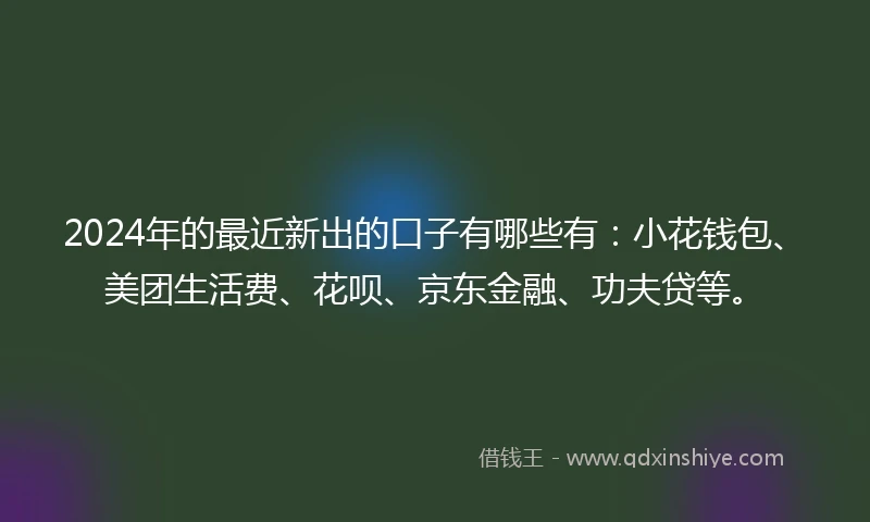 2024年的最近新出的口子有哪些有：小花钱包、美团生活费、花呗、京东金融、功夫贷等。