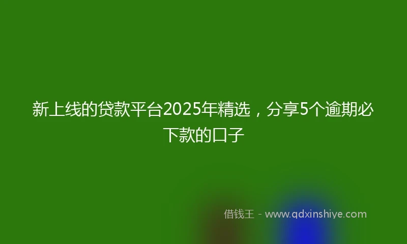 新上线的贷款平台2025年精选，分享5个逾期必下款的口子
