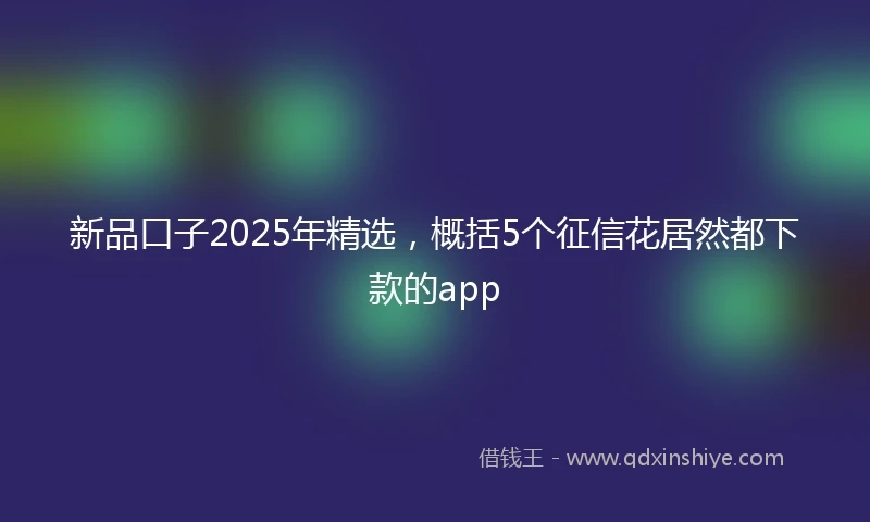 新品口子2025年精选，概括5个征信花居然都下款的app