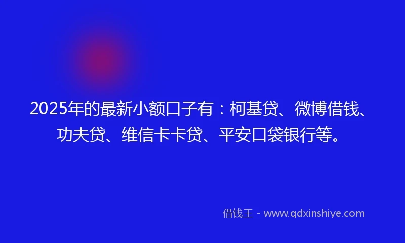 2025年的最新小额口子有：柯基贷、微博借钱、功夫贷、维信卡卡贷、平安口袋银行等。