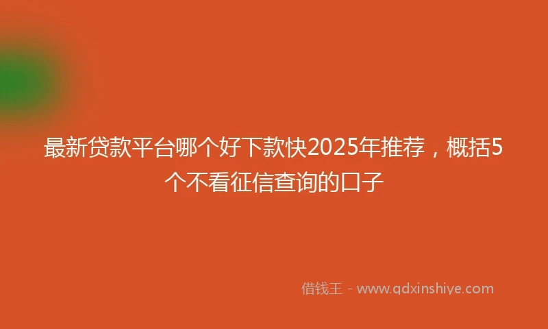 最新贷款平台哪个好下款快2025年推荐，概括5个不看征信查询的口子