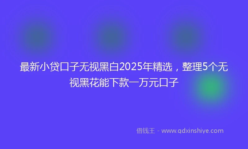 最新小贷口子无视黑白2025年精选，整理5个无视黑花能下款一万元口子