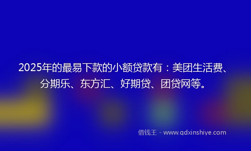 2025年的最易下款的小额贷款有：美团生活费、分期乐、东方汇、好期贷、团贷网等。