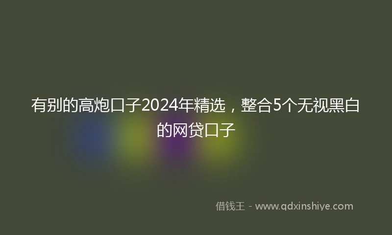 有别的高炮口子2024年精选，整合5个无视黑白的网贷口子