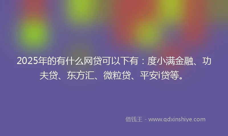 2025年的有什么网贷可以下有：度小满金融、功夫贷、东方汇、微粒贷、平安i贷等。