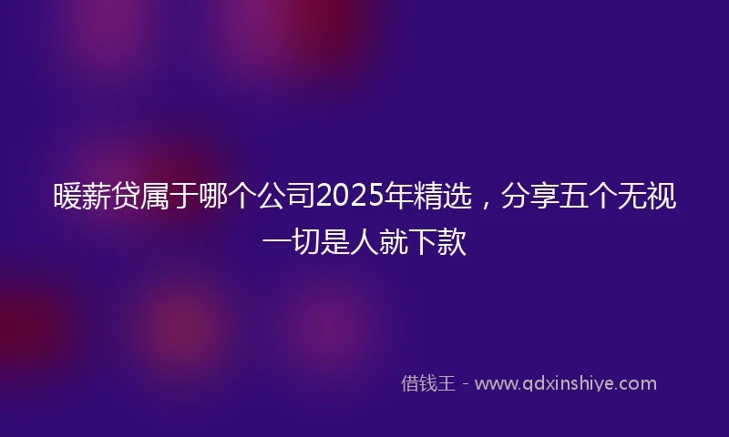 暖薪贷属于哪个公司2025年精选，分享五个无视一切是人就下款
